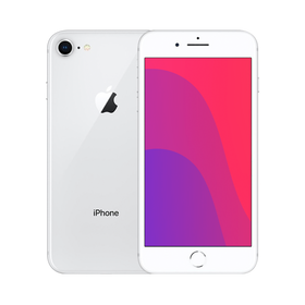 Apple iPhone SE2 64GB Silver - Home Button and Touch ID not working