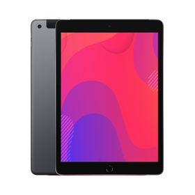 Apple iPad 10.2" 7th Gen (WiFi) 128GB Space Grey